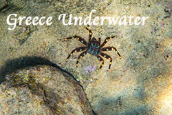 Greece-Greece_Underwater