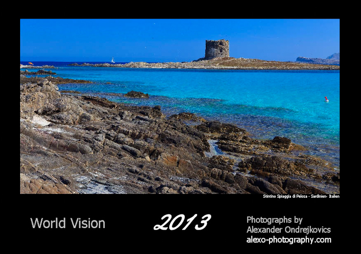 Edition 2013